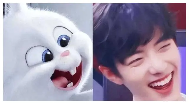 娱乐圈动物系明星排名_娱乐圈长得很像的明星_最迷人的猫系女神是谁