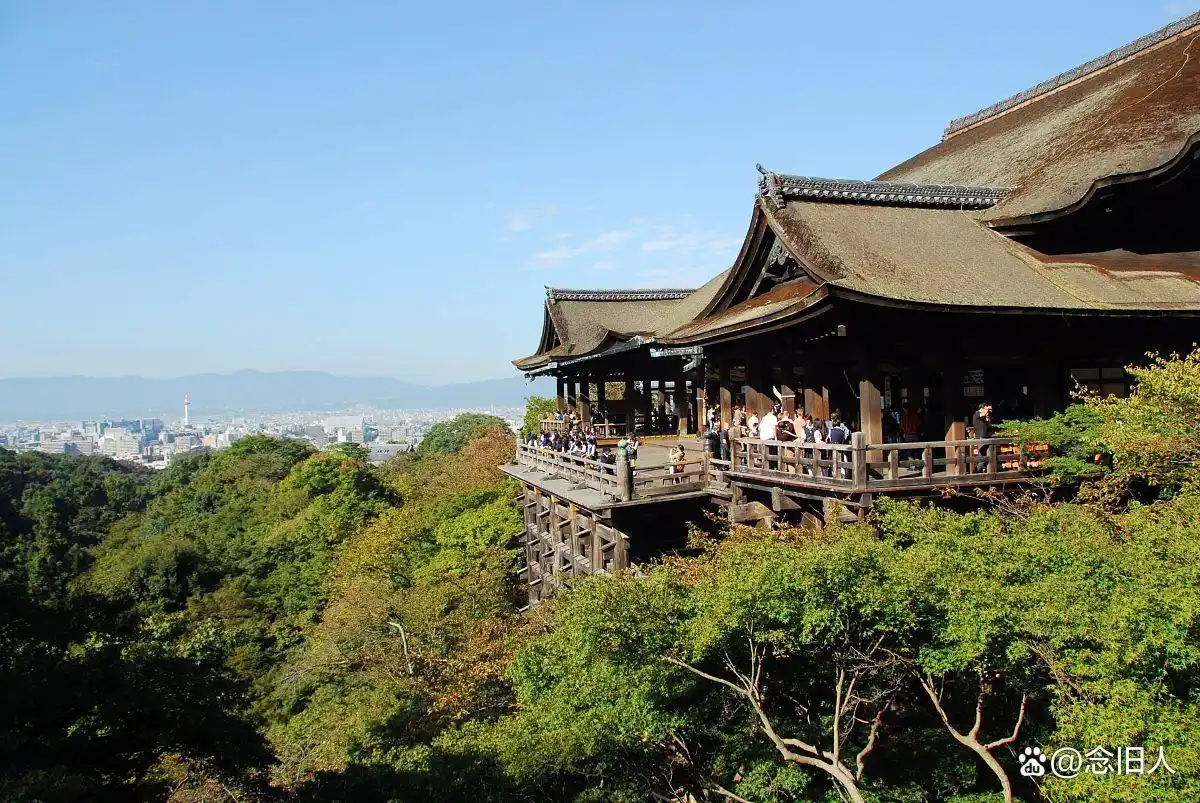 矮个子女星身高揭秘_娱乐圈哪些女名星很矮_娇小女星演技颜值