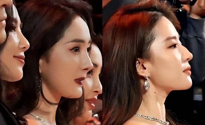 鼻梁塌却很漂亮的女星样_哪些女明星是塌鼻梁_鼻梁超级塌的女星侧脸